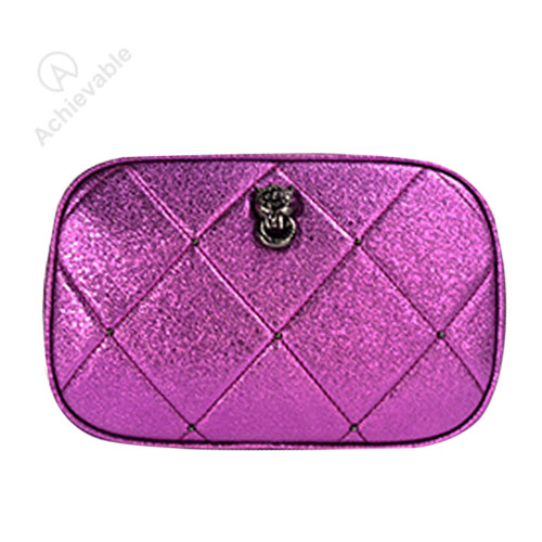 Metallic PU camera bag
